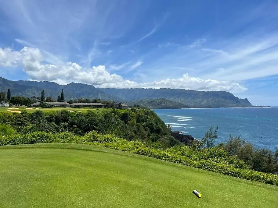 Holiday home Newly Listed Luxury Home - Great Location + Views Princeville