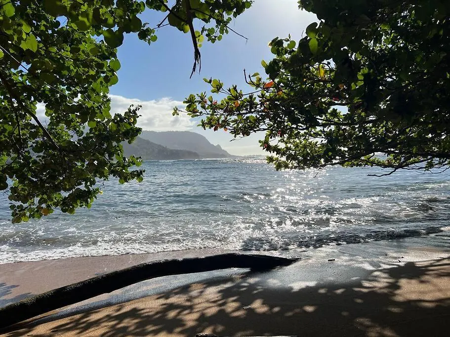 Newly Listed Luxury Home - Great Location + Views Princeville United States