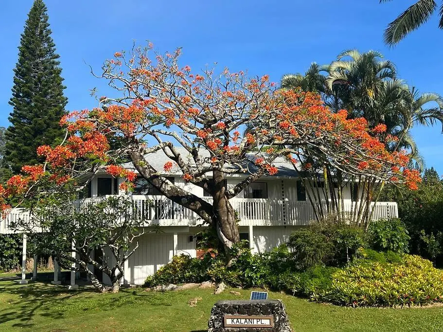 Holiday home Newly Listed Luxury Home - Great Location + Views Princeville